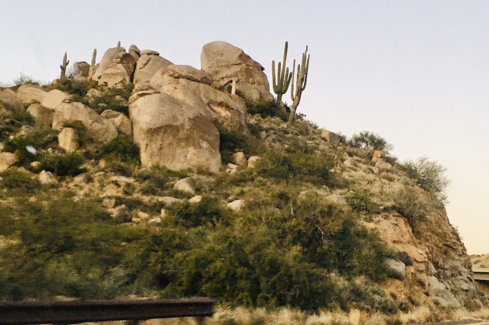 Sunflower Ghost Town