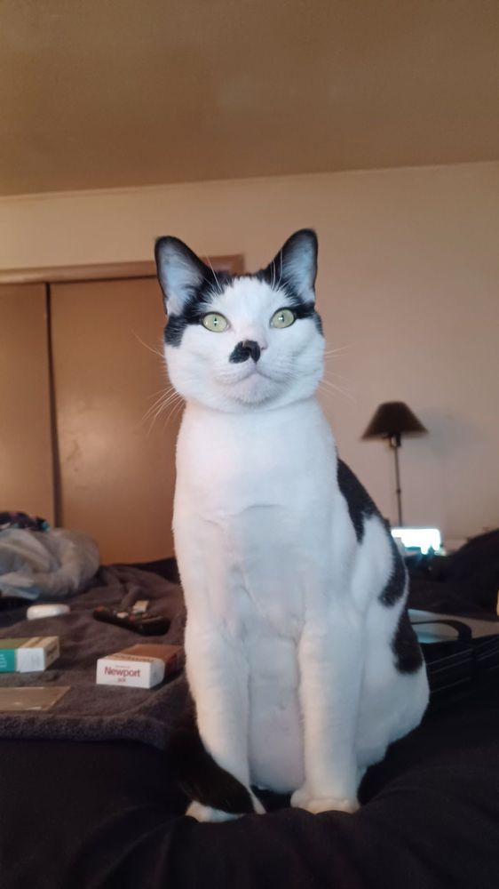 Square Medical Group - Watertown