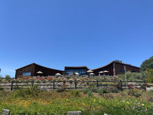 Bouchaine Vineyards by null