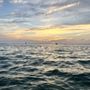 Photo of Destin Bay Hopper