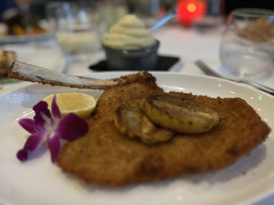 La Nouvelle Maison by null