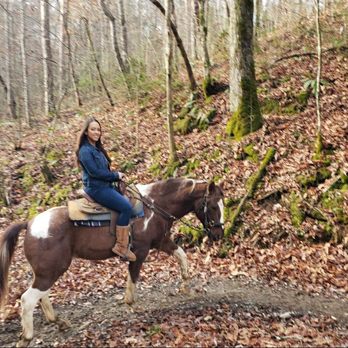 Appalachian Trail Rides - Well trained horses! - Horseback Riding Near Me - Mineral Bluff, Georgia