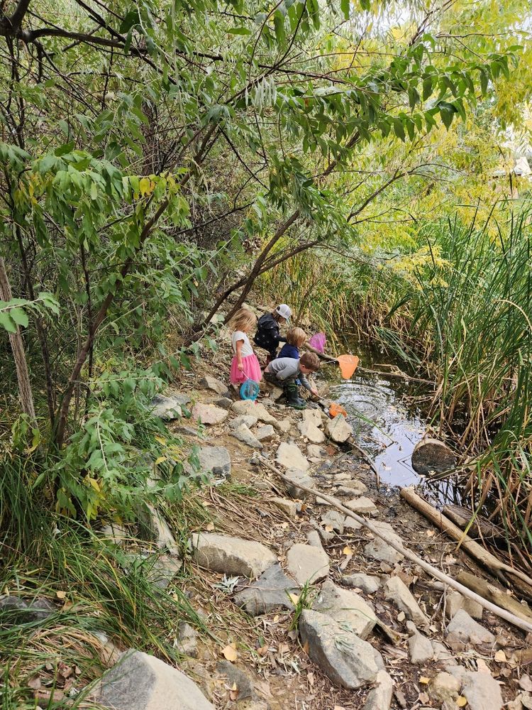 Wee Folk Forest Kindergarten - childcare center in Boulder, CO