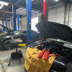 BL Performance