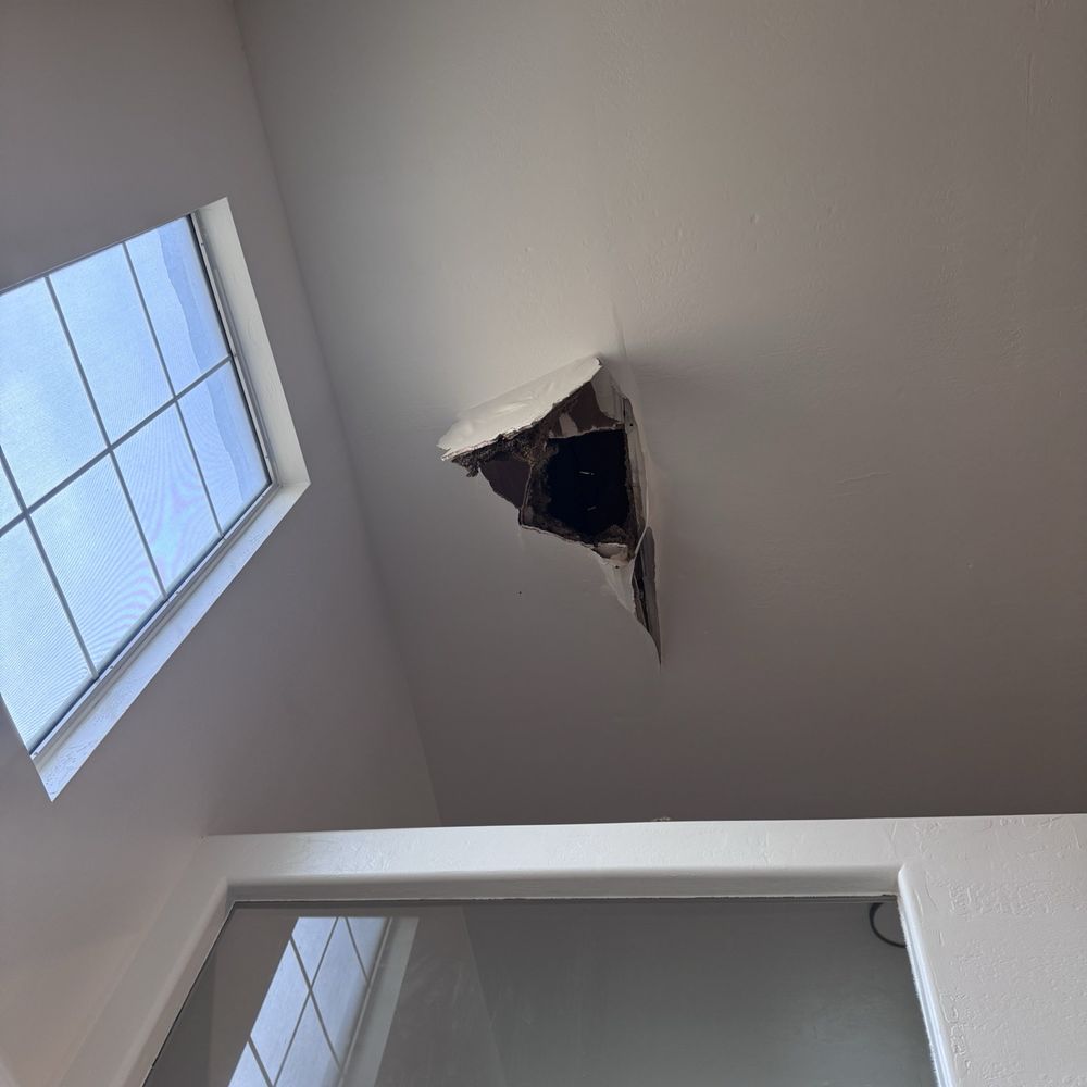 Fran Pro Painting - Damage - Painters Near Me Fran Pro Painting - Damage - Painters Near Me