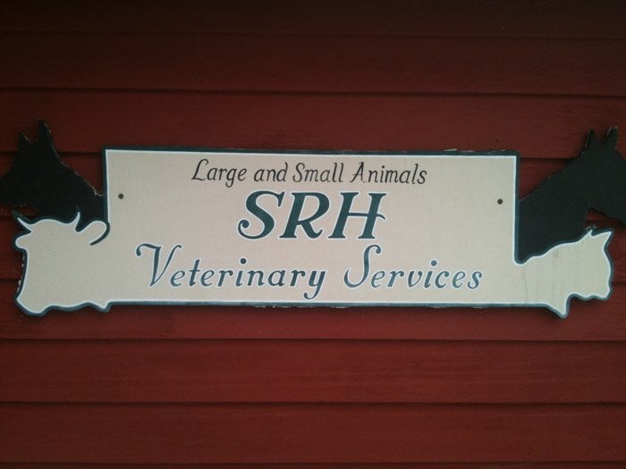 SRH VETERINARY SERVICES Updated September 2024 295 High St, Ipswich