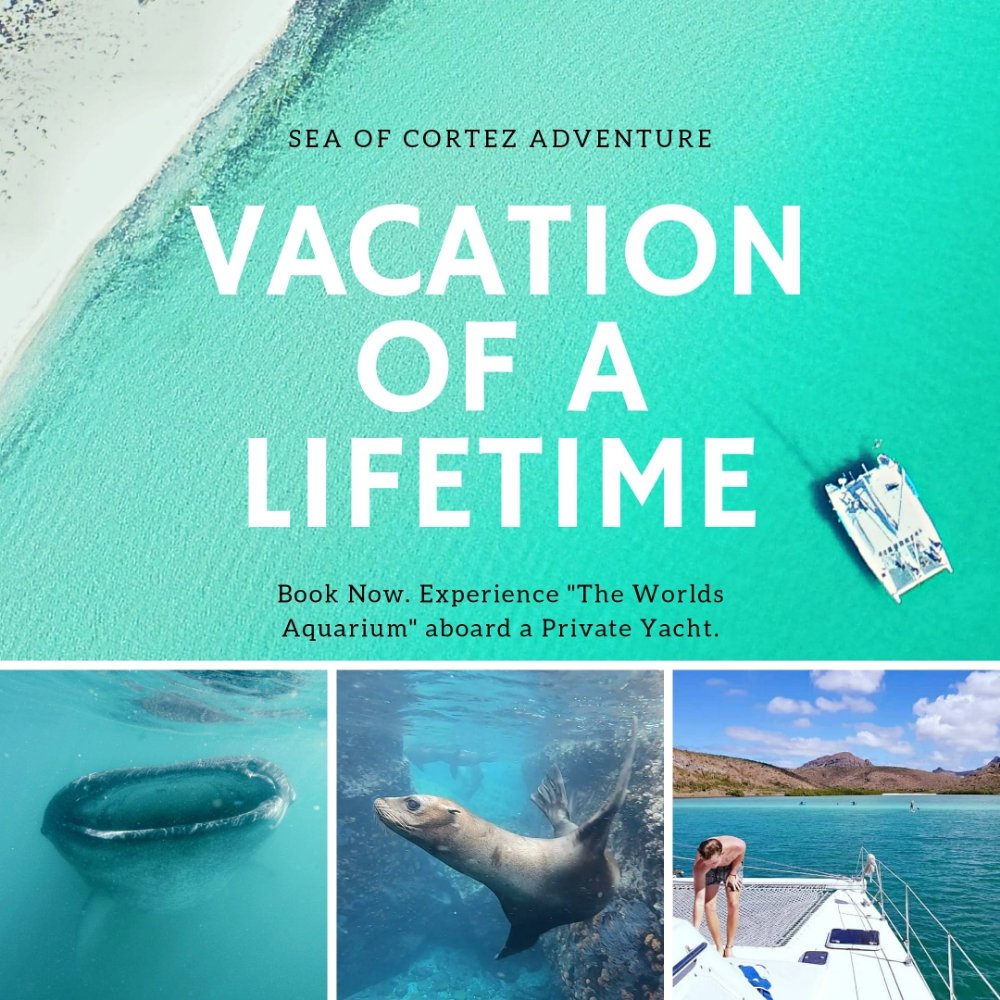 BAJA CAT SAILING CATAMARAN 12 Photos Carr Escenica S/N, La Paz