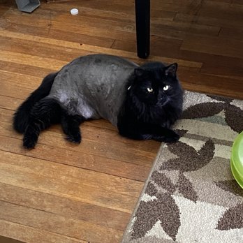 Hound Haven - Pet Groomers Near Me - Newport News, Virginia