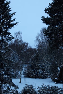 Bispebjerg Cemetery by null