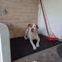 Snook Veterinary Clinic