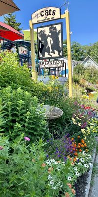 2 Cats Bar Harbor by null