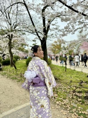 Osaka Castle Park by null