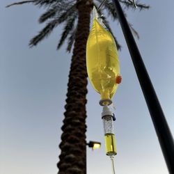 Desert Duo Infusions