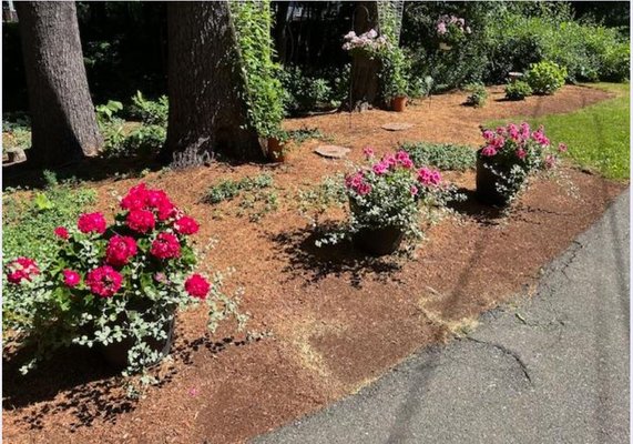 Calareso's Farm Stand & Garden Center by null