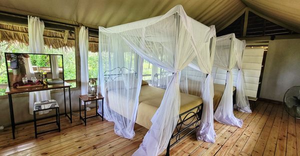 Overseas Adventure Travel by null