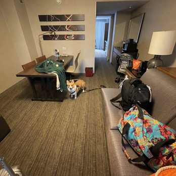 Embassy Suites by Hilton Chicago Downtown Magnificent Mile - Hotels Near Me - Chicago, Illinois