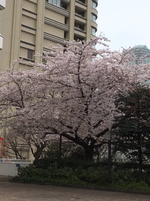 NHK Museum of Broadcasting by null