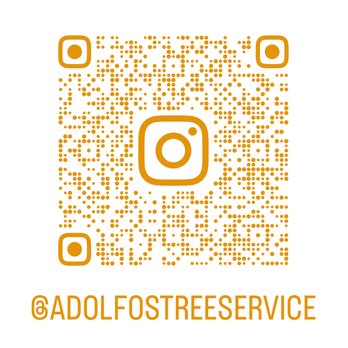 Adolfo's Tree Service - Tree Services Near Me - Houston, Texas Adolfo's Tree Service - Tree Services Near Me - Houston, Texas