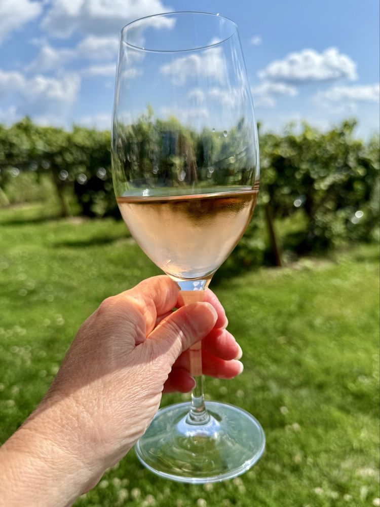 Social spots from Fjord Vineyards