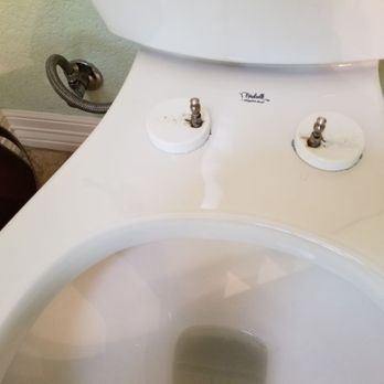 Chloris Nontoxic Cleaning Service - We take apart toilet seats for a deeper clean. - Home Cleaning Near Me Chloris Nontoxic Cleaning Service - We take apart toilet seats for a deeper clean. - Home Cleaning Near Me