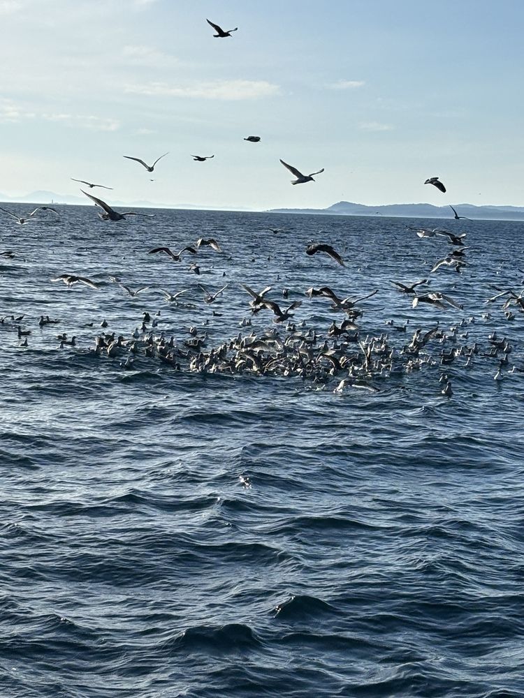 Outer Island Expeditions Image