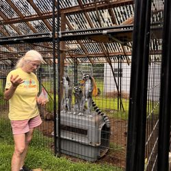 Three Ring Ranch Exotic Animal Sanctuary - Anne and the lemurs
