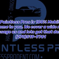 Paintless Pros Dent Repair