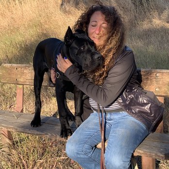 Dog Training With Miri - Fearful dog training at Albany, CA - Pet Training Near Me - Richmond, California Dog Training With Miri - Fearful dog training at Albany, CA - Pet Training Near Me - Richmond, California