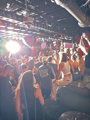 Laissez Faire by null