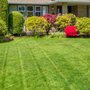 Coles Lawn Care