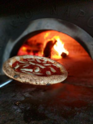 Pomo Pizzeria by null