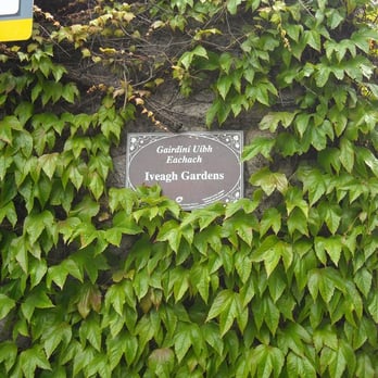 The Iveagh Gardens - Parks Near Me - Dublin, D