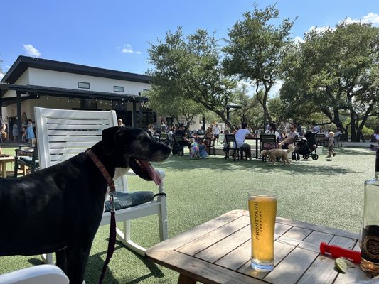 Frontyard Brewing by null