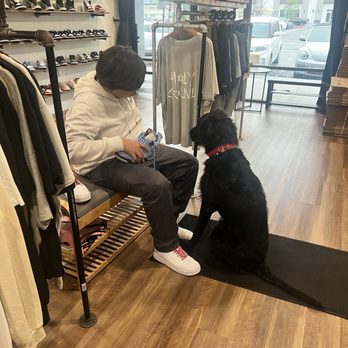 Holy Ground Brea - Best sales doggo!! :) - Shoe Stores Near Me - Brea, California