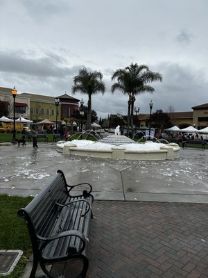 Evergreen Farmers' Market by null