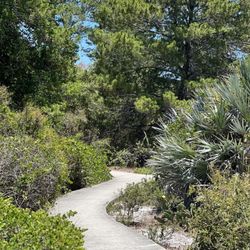 Lakeside Sand Pine Preserve