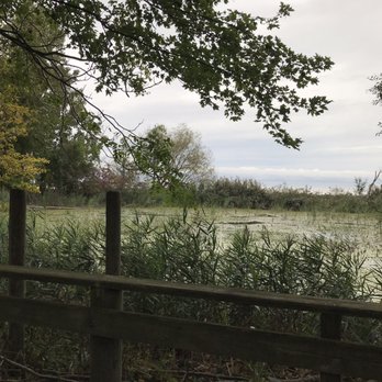 Maumee Bay State Park  - The view from the trail between markers D and E. - Parks Near Me - Oregon, Ohio