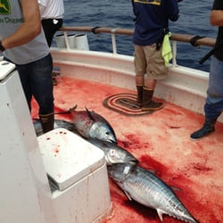 Success Sport Fishing - It was a bloody good time.
