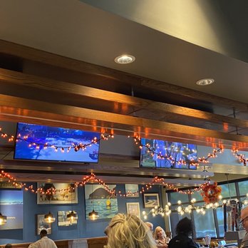 Bonefish Grill - Halloween lights - Seafood Near Me - Daytona Beach, Florida Bonefish Grill - Halloween lights - Seafood Near Me - Daytona Beach, Florida
