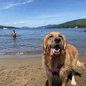 Lake George Dog Beach - Dog Parks Near Me Lake George Dog Beach - Dog Parks Near Me