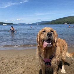 Lake George Dog Beach