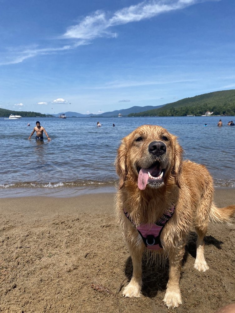 LAKE DOG BEACH Updated September 2024 Beach Road, Lake