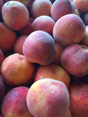 Farmers market in Kirkwood by null