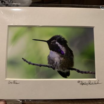 Gerlach Nature Photography Gallery - Art Galleries Near Me - Solvang, California Gerlach Nature Photography Gallery - Art Galleries Near Me - Solvang, California