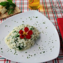Ristorante Villa Itália - Risoto de parmesão e rúcula.