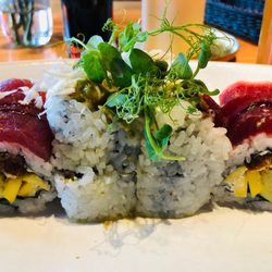 Chi Keng - Tuna Sushi