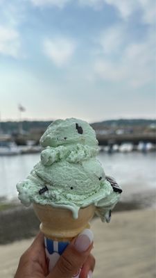 The Ice Cream Store by null