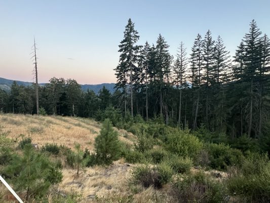Under Canvas Columbia River Gorge by null