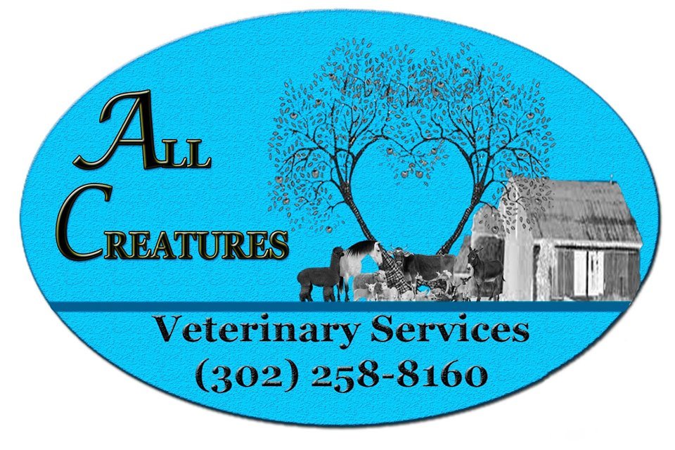 ALL CREATURES VETERINARY SERVICE Updated September 2024 10301