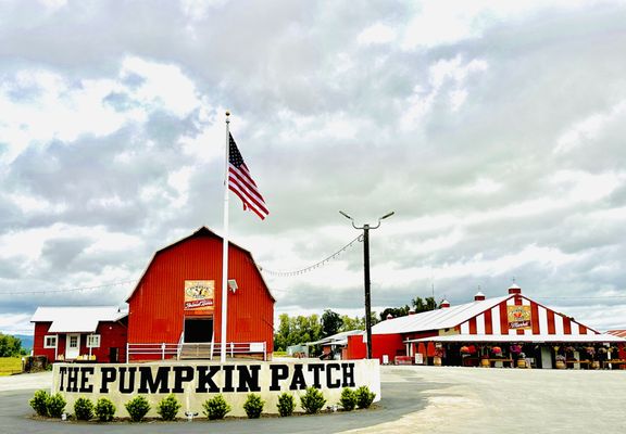 The Pumpkin Patch on Sauvie Island, Portland's original by null